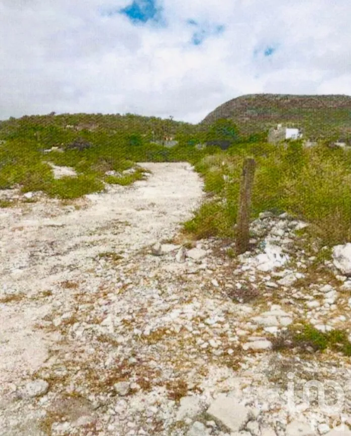 Terreno en Venta en Villa Hidalgo Centro, Villa Hidalgo, San Luis Potosí | NEX-250902 | iad México | Foto 4 de 4