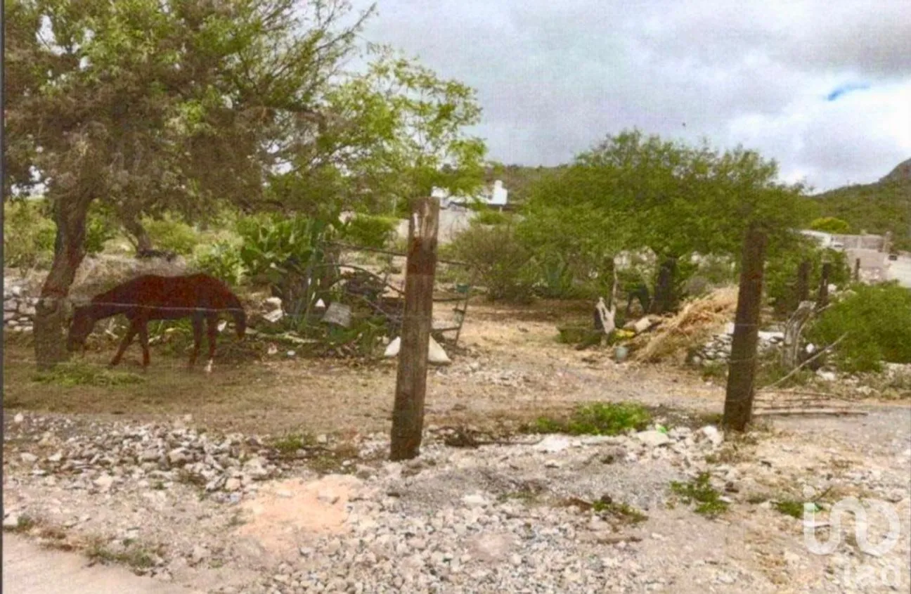 Terreno en Venta en Villa Hidalgo Centro, Villa Hidalgo, San Luis Potosí | NEX-250902 | iad México | Foto 1 de 4