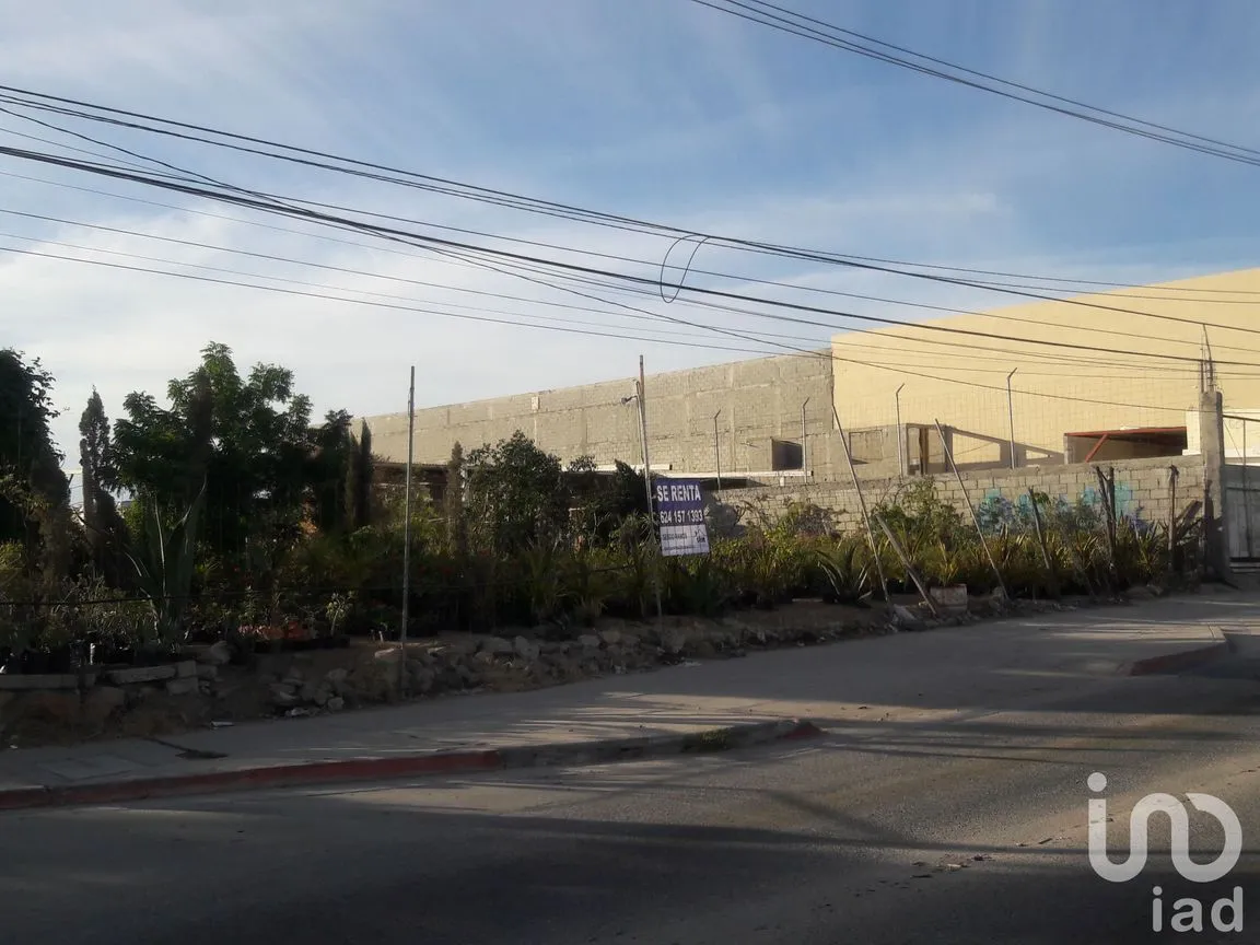 Terreno en Renta en Lagunitas, Los Cabos, Baja California Sur | NEX-184592 | iad México | Foto 2 de 9