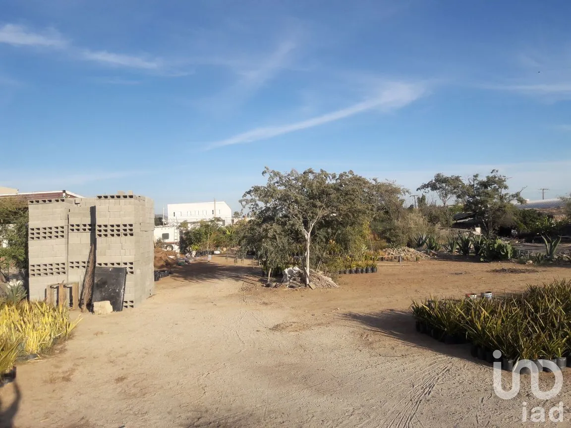 Terreno en Renta en Lagunitas, Los Cabos, Baja California Sur | NEX-184592 | iad México | Foto 3 de 9