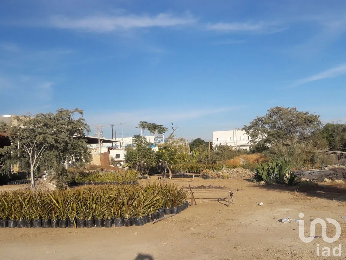 Terreno en Renta en Lagunitas, Los Cabos, Baja California Sur | NEX-184592 | iad México | Foto 4 de 9