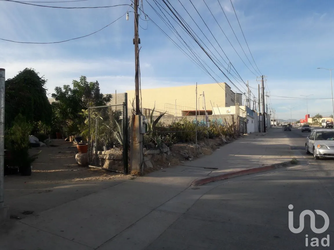 Terreno en Renta en Lagunitas, Los Cabos, Baja California Sur | NEX-184592 | iad México | Foto 5 de 9