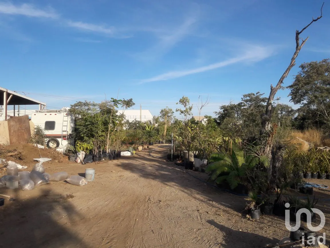 Terreno en Renta en Lagunitas, Los Cabos, Baja California Sur | NEX-184592 | iad México | Foto 7 de 9