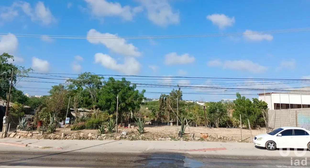 Terreno en Renta en Lagunitas, Los Cabos, Baja California Sur | NEX-184592 | iad México | Foto 8 de 9