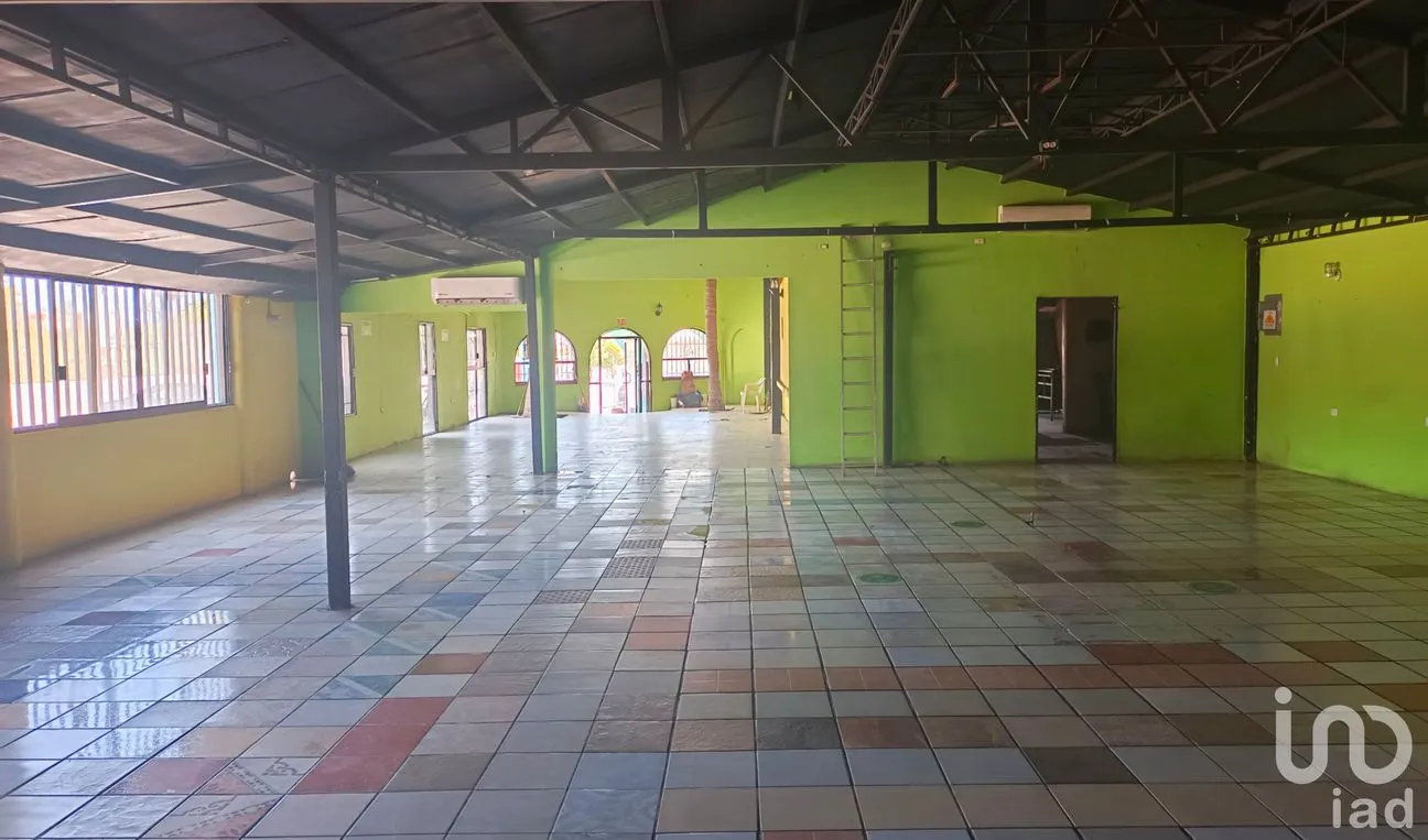Local en Renta en Benito Juárez, Los Cabos, Baja California Sur | NEX-205942 | iad México | Foto 3 de 6