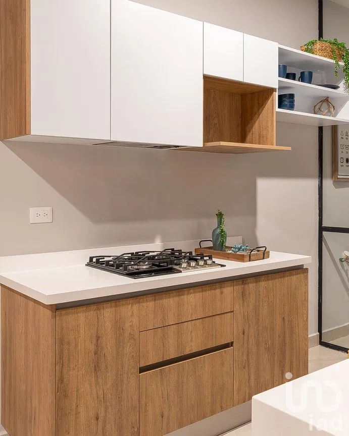 Departamento en Venta en El Tezal, Los Cabos, Baja California Sur | NEX-240612 | iad México | Foto 4 de 26