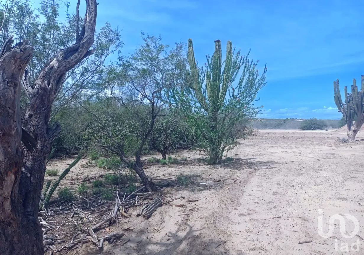 Terreno en Venta en La Ribera, Los Cabos, Baja California Sur | NEX-259437 | iad México | Foto 8 de 10