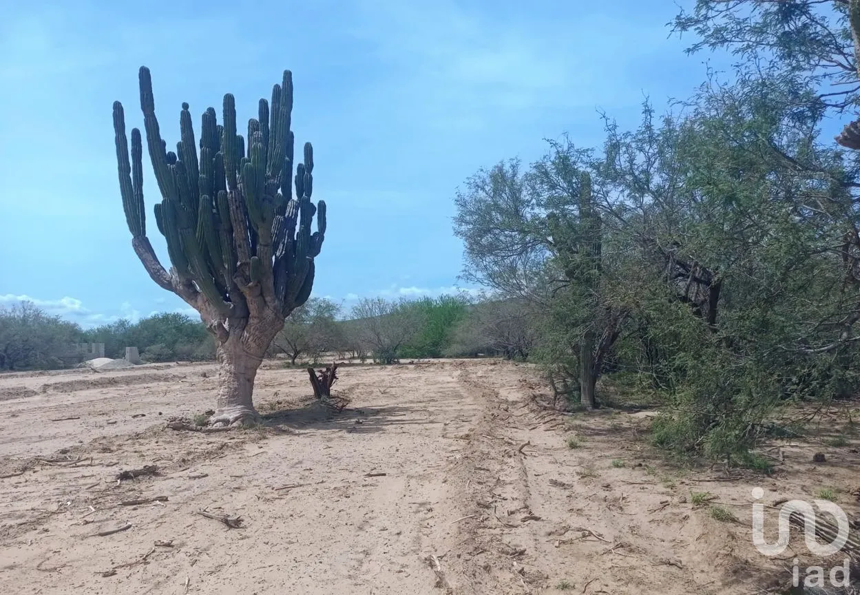 Terreno en Venta en La Ribera, Los Cabos, Baja California Sur | NEX-259437 | iad México | Foto 9 de 10