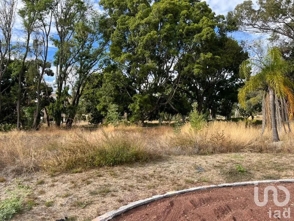 Terreno en Venta en Emiliano Zapata Nexatengo, Atlixco, Puebla | NEX-197552 | iad México | Foto 15 de 17