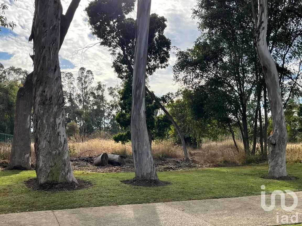 Terreno en Venta en Emiliano Zapata Nexatengo, Atlixco, Puebla | NEX-197552 | iad México | Foto 16 de 17