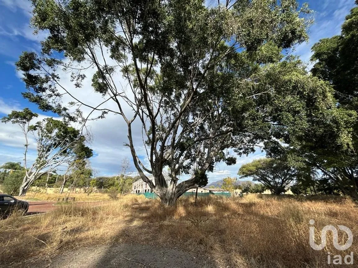 Terreno en Venta en Emiliano Zapata Nexatengo, Atlixco, Puebla | NEX-197552 | iad México | Foto 4 de 17