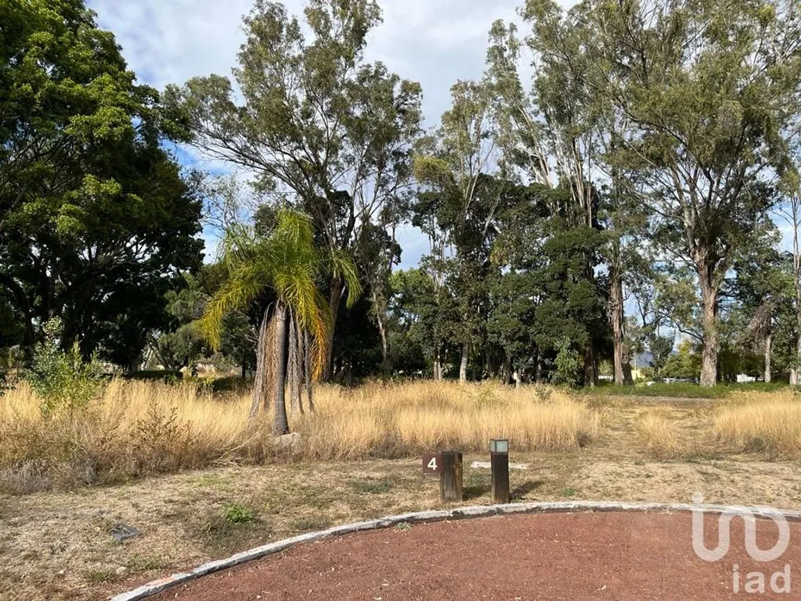 Terreno en Venta en Emiliano Zapata Nexatengo, Atlixco, Puebla | NEX-197552 | iad México | Foto 10 de 17