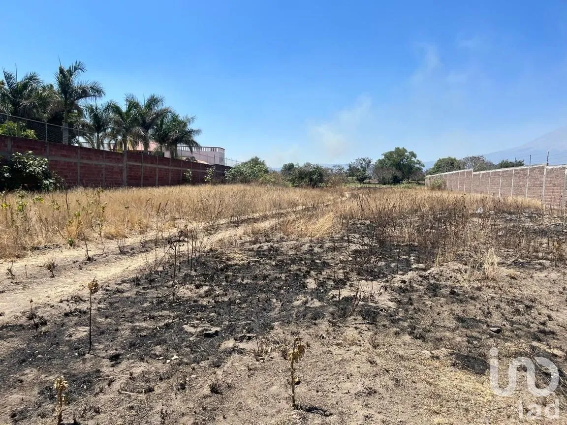 Casa en Venta en San Martín Tlamapa, Santa Isabel Cholula, Puebla | NEX-210190 | iad México | Foto 4 de 4