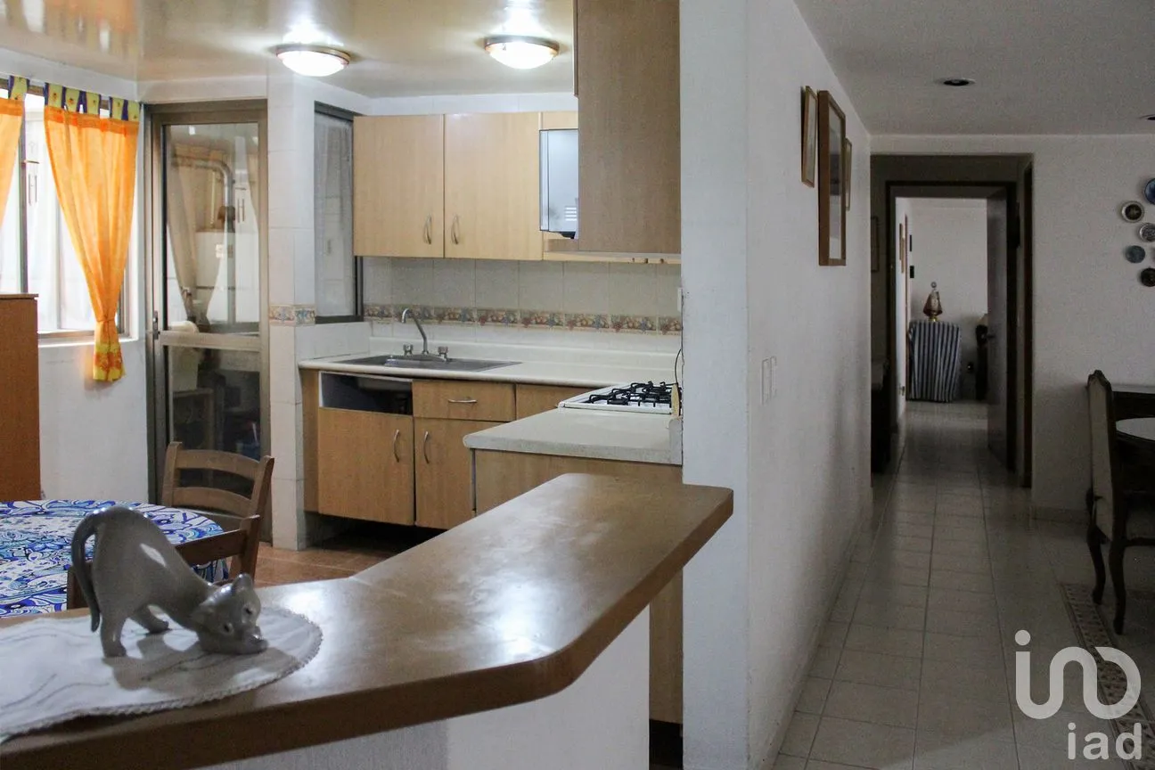 Departamento en Venta en Del Valle Centro, Benito Juárez, Ciudad de México | NEX-251771 | iad México | Foto 4 de 19