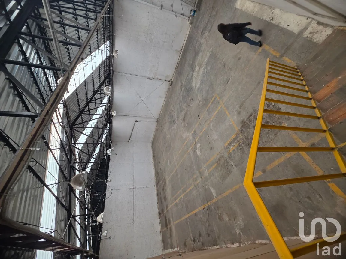 Bodega en Renta en Portales Norte, Benito Juárez, Ciudad de México | NEX-261103 | iad México | Foto 7 de 13