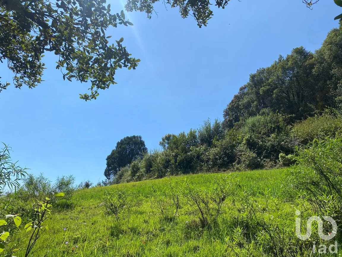 Terreno en Venta en San Antonio el Paso, Omitlán de Juárez, Hidalgo | NEX-183453 | iad México | Foto 4 de 9