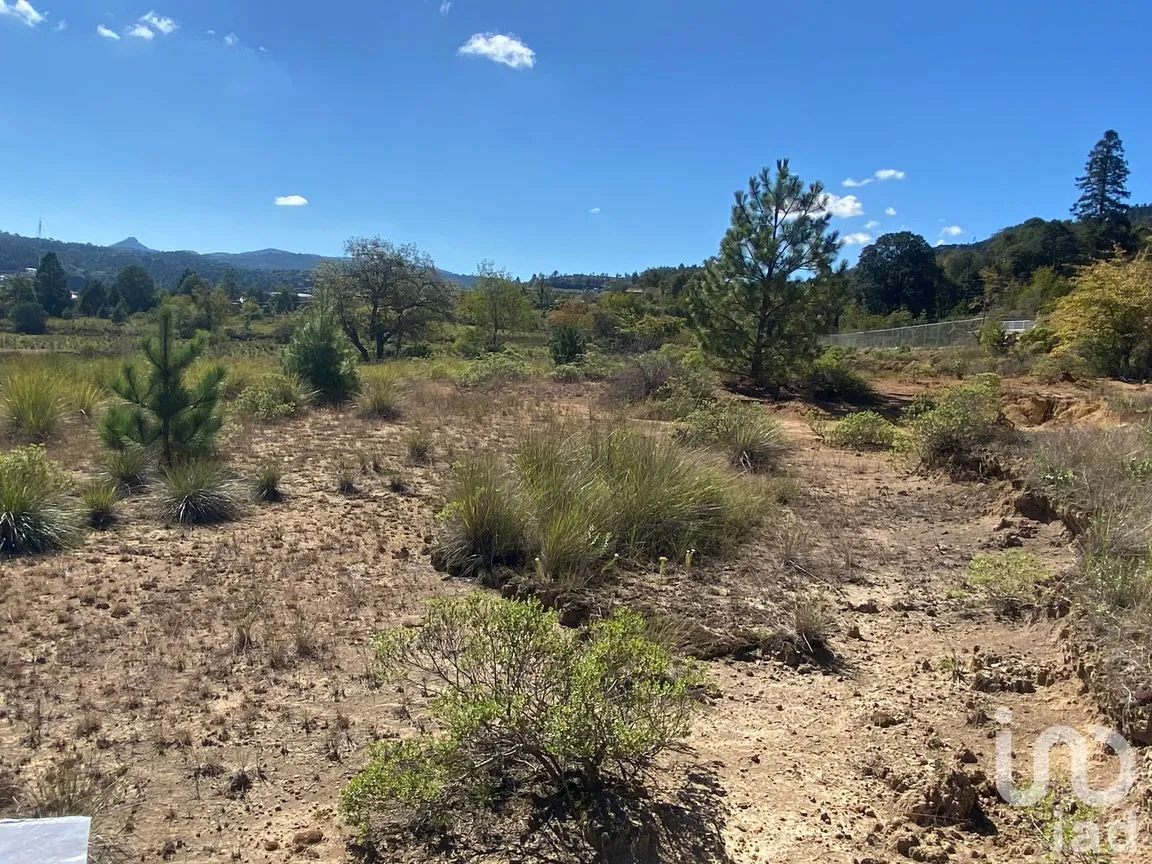 Terreno en Venta en San Antonio el Paso, Omitlán de Juárez, Hidalgo | NEX-186117 | iad México | Foto 3 de 12
