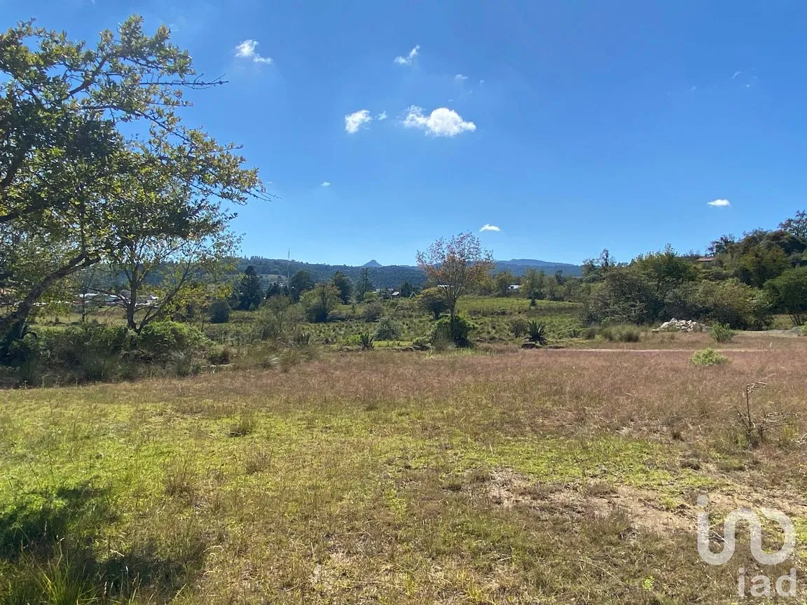 Terreno en Venta en San Antonio el Paso, Omitlán de Juárez, Hidalgo | NEX-186117 | iad México | Foto 5 de 12