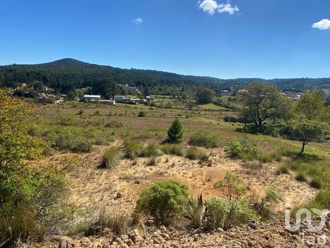 Terreno en Venta en San Antonio el Paso, Omitlán de Juárez, Hidalgo | NEX-186117 | iad México | Foto 6 de 12