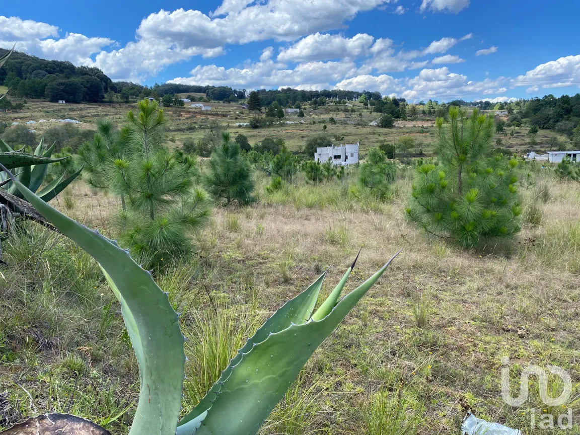 Terreno en Venta en San Antonio el Paso, Omitlán de Juárez, Hidalgo | NEX-186167 | iad México | Foto 2 de 14