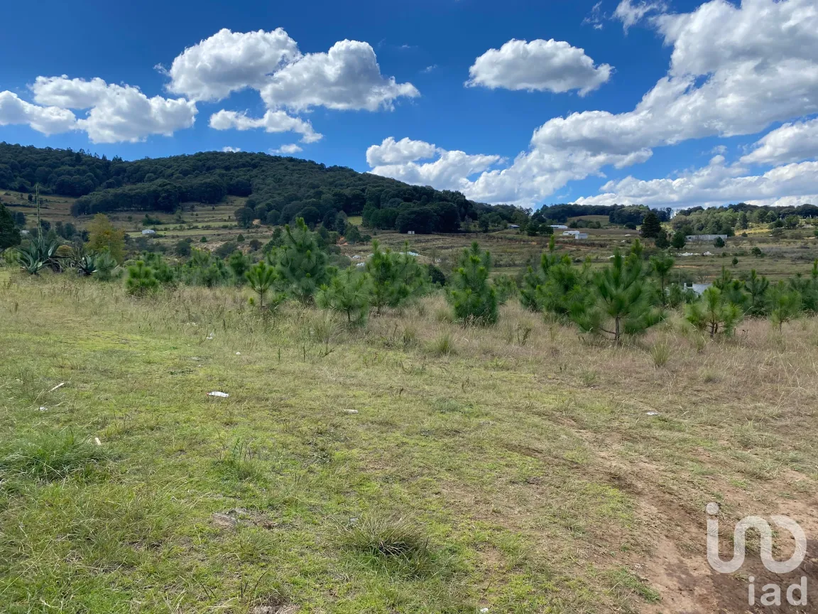 Terreno en Venta en San Antonio el Paso, Omitlán de Juárez, Hidalgo | NEX-186167 | iad México | Foto 13 de 14