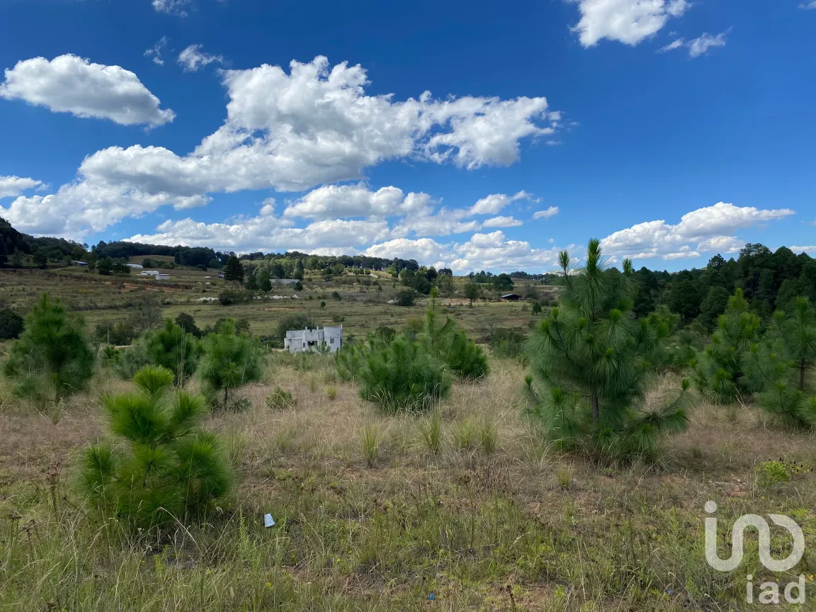 Terreno en Venta en San Antonio el Paso, Omitlán de Juárez, Hidalgo | NEX-186167 | iad México | Foto 14 de 14