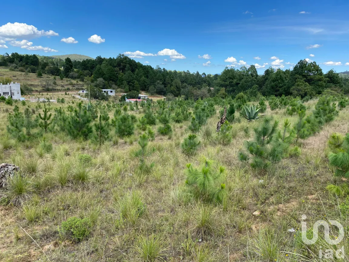 Terreno en Venta en San Antonio el Paso, Omitlán de Juárez, Hidalgo | NEX-186167 | iad México | Foto 3 de 14