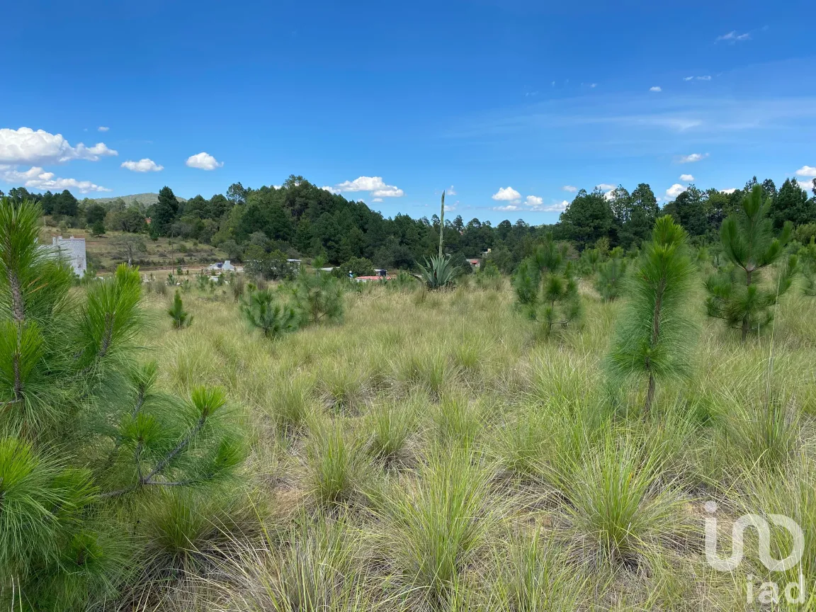 Terreno en Venta en San Antonio el Paso, Omitlán de Juárez, Hidalgo | NEX-186167 | iad México | Foto 5 de 14
