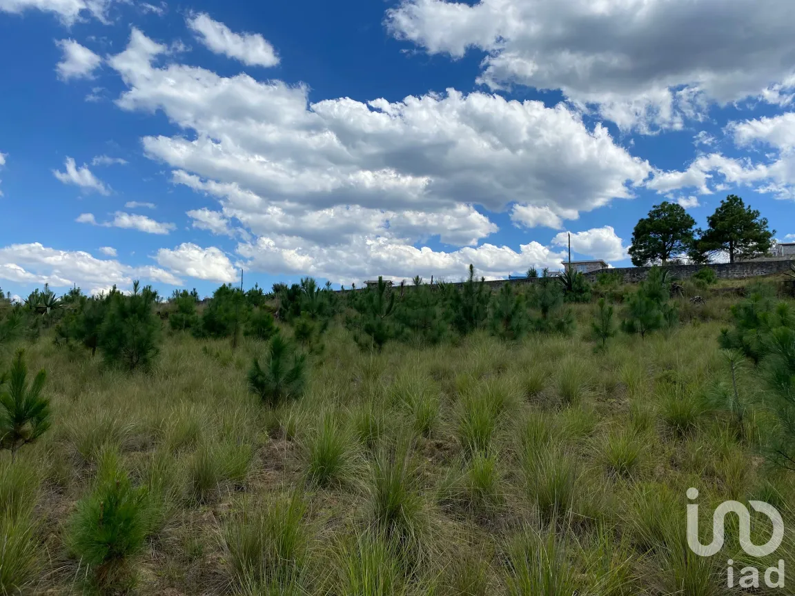 Terreno en Venta en San Antonio el Paso, Omitlán de Juárez, Hidalgo | NEX-186167 | iad México | Foto 6 de 14