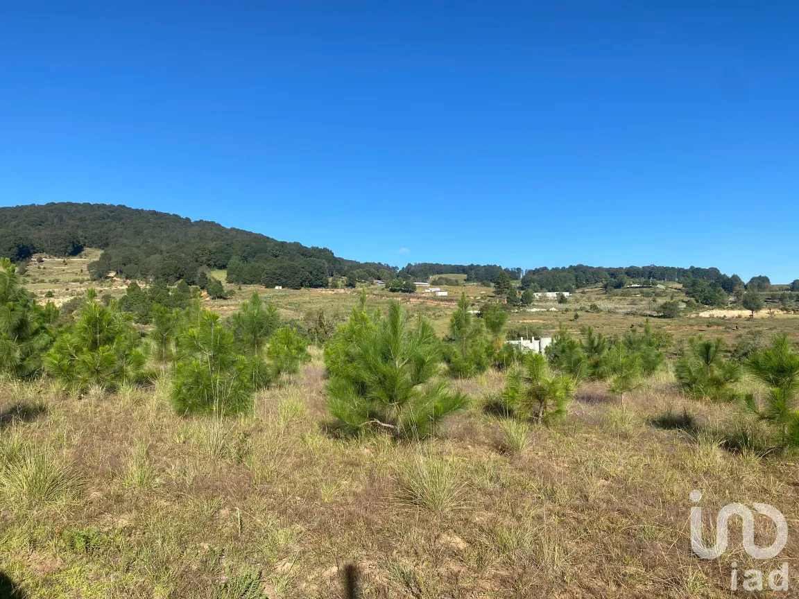 Terreno en Venta en San Antonio el Paso, Omitlán de Juárez, Hidalgo | NEX-186167 | iad México | Foto 7 de 14