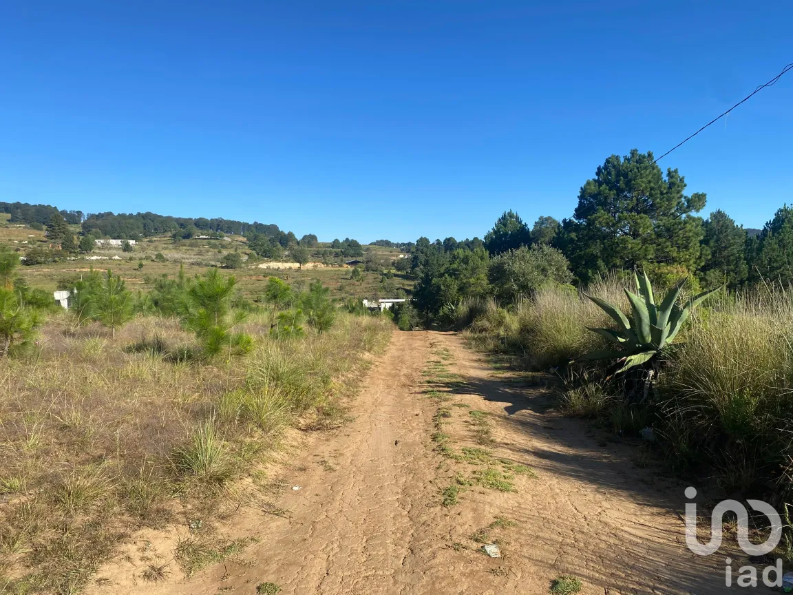 Terreno en Venta en San Antonio el Paso, Omitlán de Juárez, Hidalgo | NEX-186167 | iad México | Foto 8 de 14