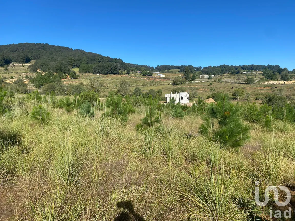 Terreno en Venta en San Antonio el Paso, Omitlán de Juárez, Hidalgo | NEX-186167 | iad México | Foto 9 de 14