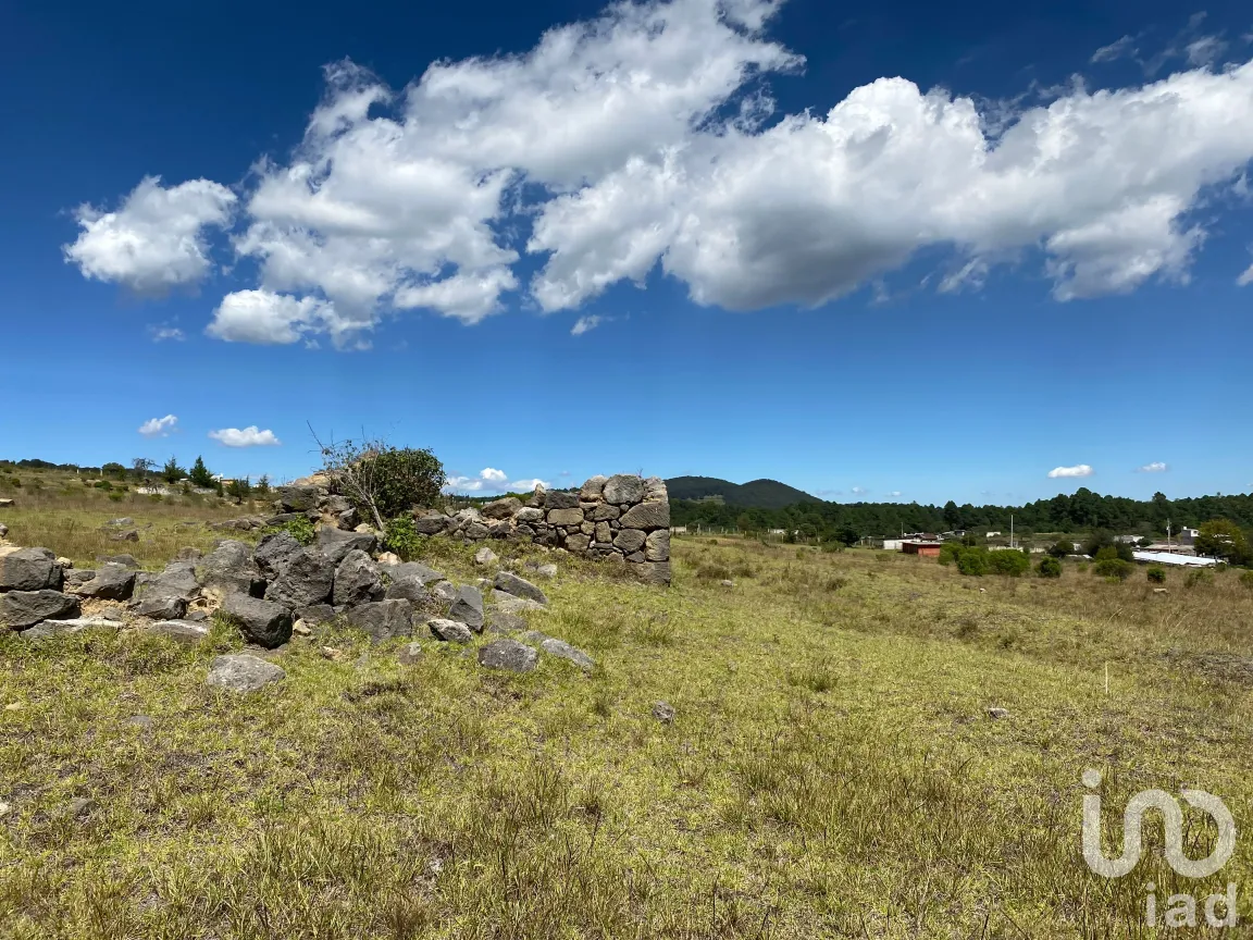 Terreno en Venta en San Antonio el Paso, Omitlán de Juárez, Hidalgo | NEX-186167 | iad México | Foto 10 de 14