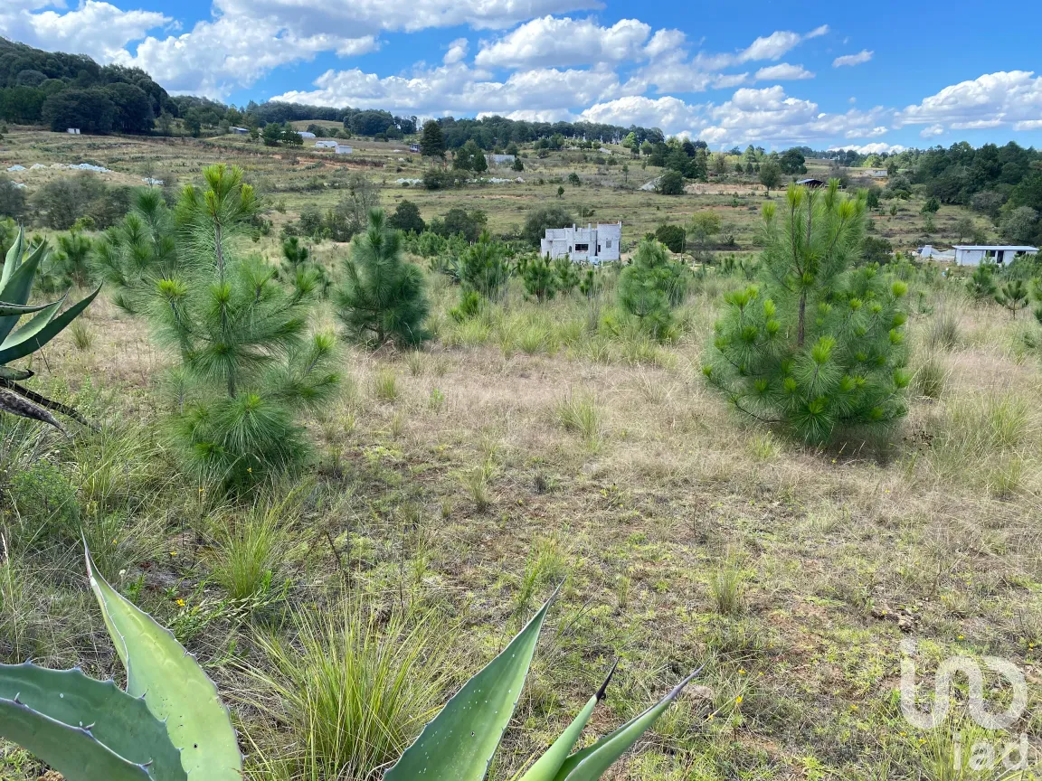 Terreno en Venta en San Antonio el Paso, Omitlán de Juárez, Hidalgo