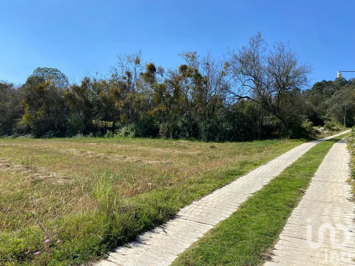 Terreno en Venta en Mixquiapan, Omitlán de Juárez, Hidalgo | NEX-189716 | iad México | Foto 3 de 5