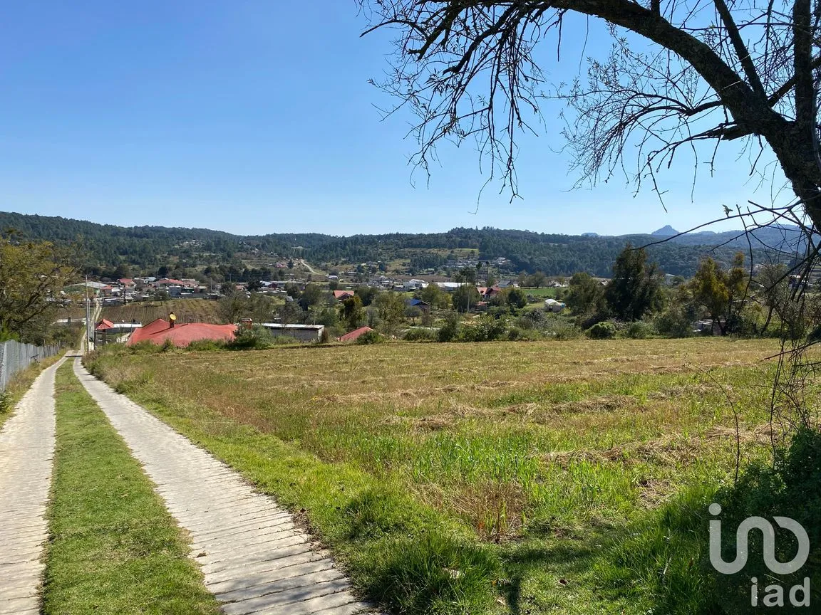 Terreno en Venta en Mixquiapan, Omitlán de Juárez, Hidalgo | NEX-189716 | iad México | Foto 5 de 5