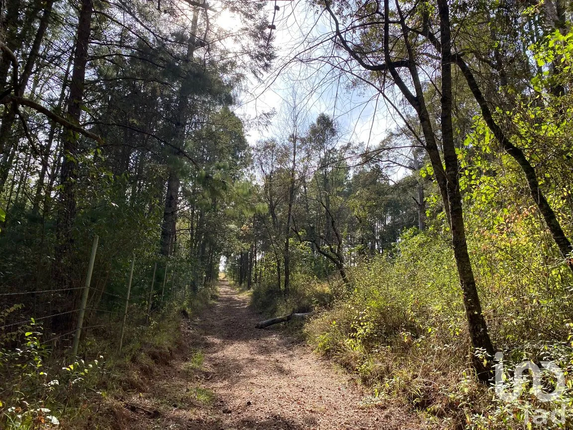 Terreno en Venta en Cerro Gordo, Omitlán de Juárez, Hidalgo | NEX-194277 | iad México | Foto 5 de 7