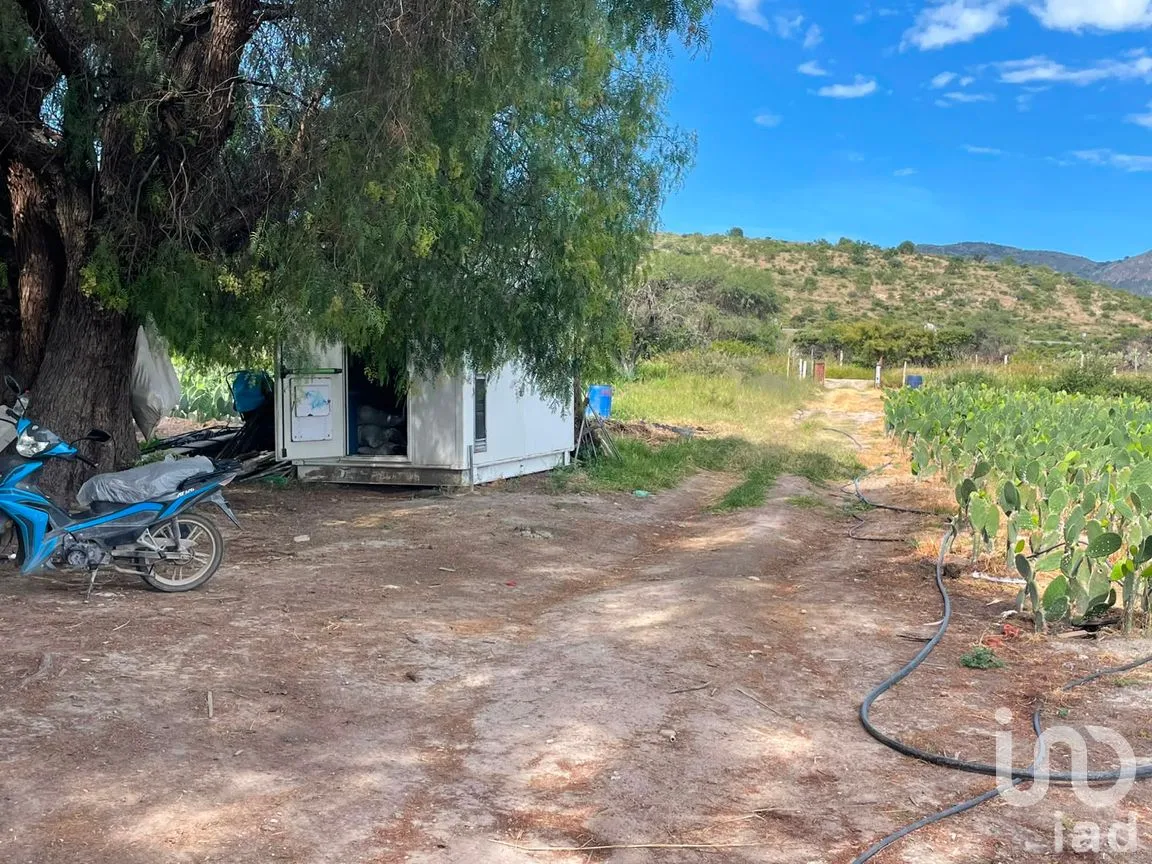 Rancho en Venta en Santa Cruz de la Presa, Aguascalientes, Aguascalientes | NEX-306524 | iad México | Foto 18 de 23