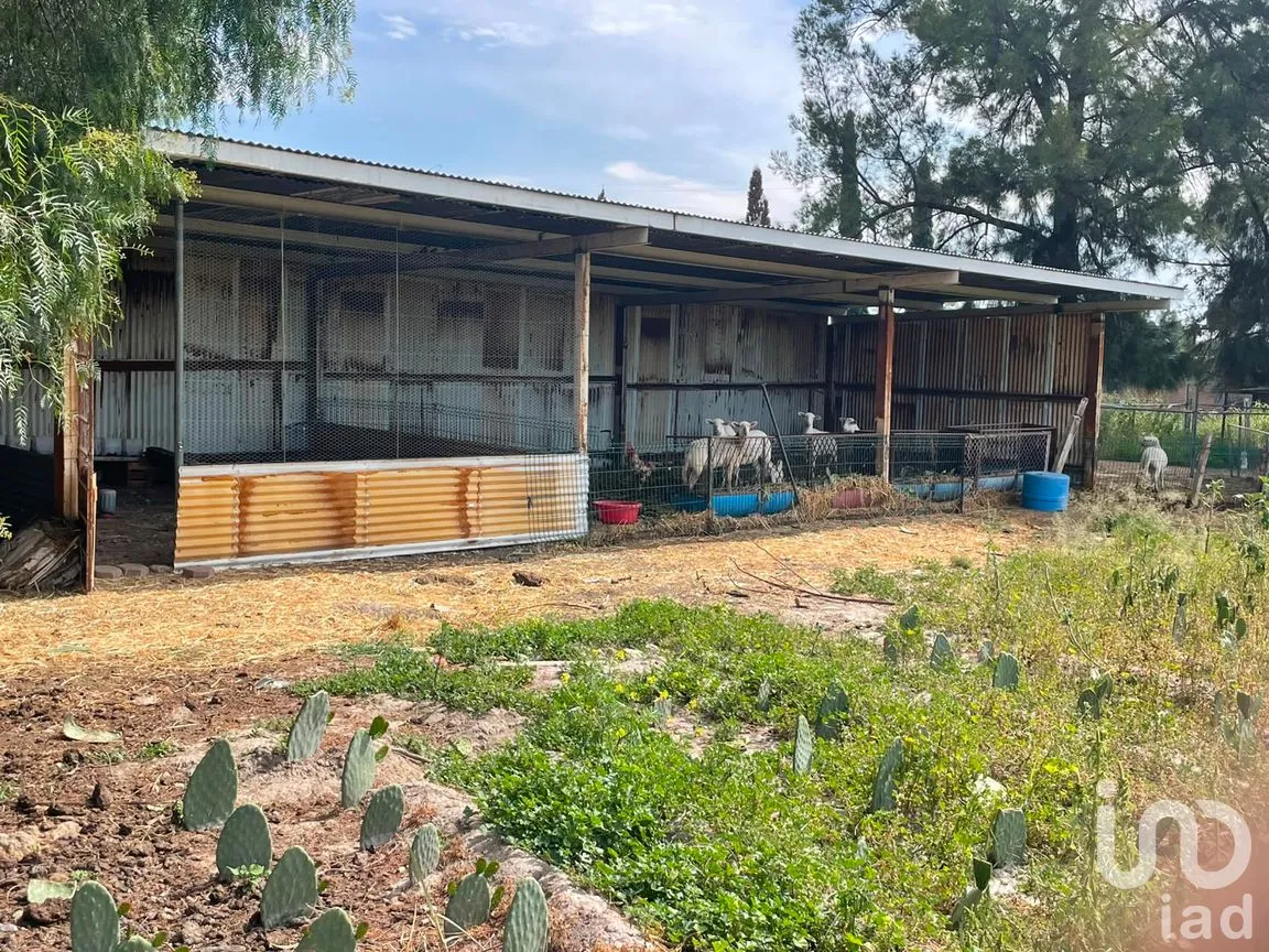 Rancho en Venta en Santa Cruz de la Presa, Aguascalientes, Aguascalientes | NEX-306524 | iad México | Foto 19 de 23