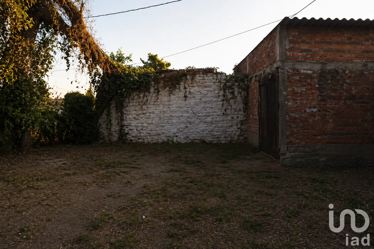 Terreno en Venta en El Novillero, Abasolo, Guanajuato | NEX-283331 | iad México | Foto 4 de 9
