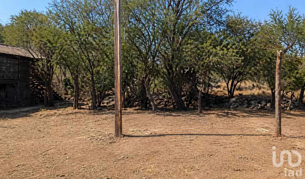 Terreno en Venta en El Novillero, Abasolo, Guanajuato | NEX-283331 | iad México | Foto 1 de 9