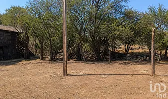 NEX-283331 - Terreno en Venta, con 1 m2 de construcción en El Novillero, CP 36987, Guanajuato.