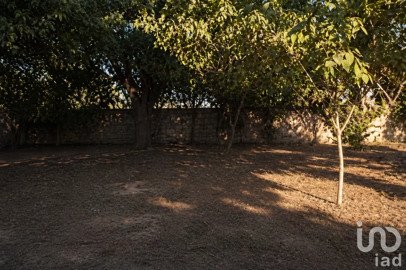 Terreno en Venta en San Gabriel y San Ignacio, Pénjamo, Guanajuato | NEX-296022 | iad México | Foto 3 de 6
