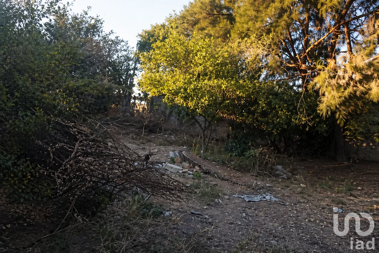 Terreno en Venta en San Gabriel y San Ignacio, Pénjamo, Guanajuato | NEX-296022 | iad México | Foto 1 de 6