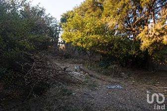 NEX-296022 - Terreno en Venta, con 1 recamara, con 1 baño, con 4 m2 de construcción en San Gabriel y San Ignacio, CP 36924, Guanajuato.