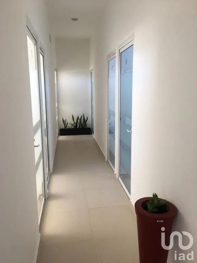 Oficina en Renta en San Miguel, Metepec, México | NEX-185134 | iad México | Foto 6 de 14