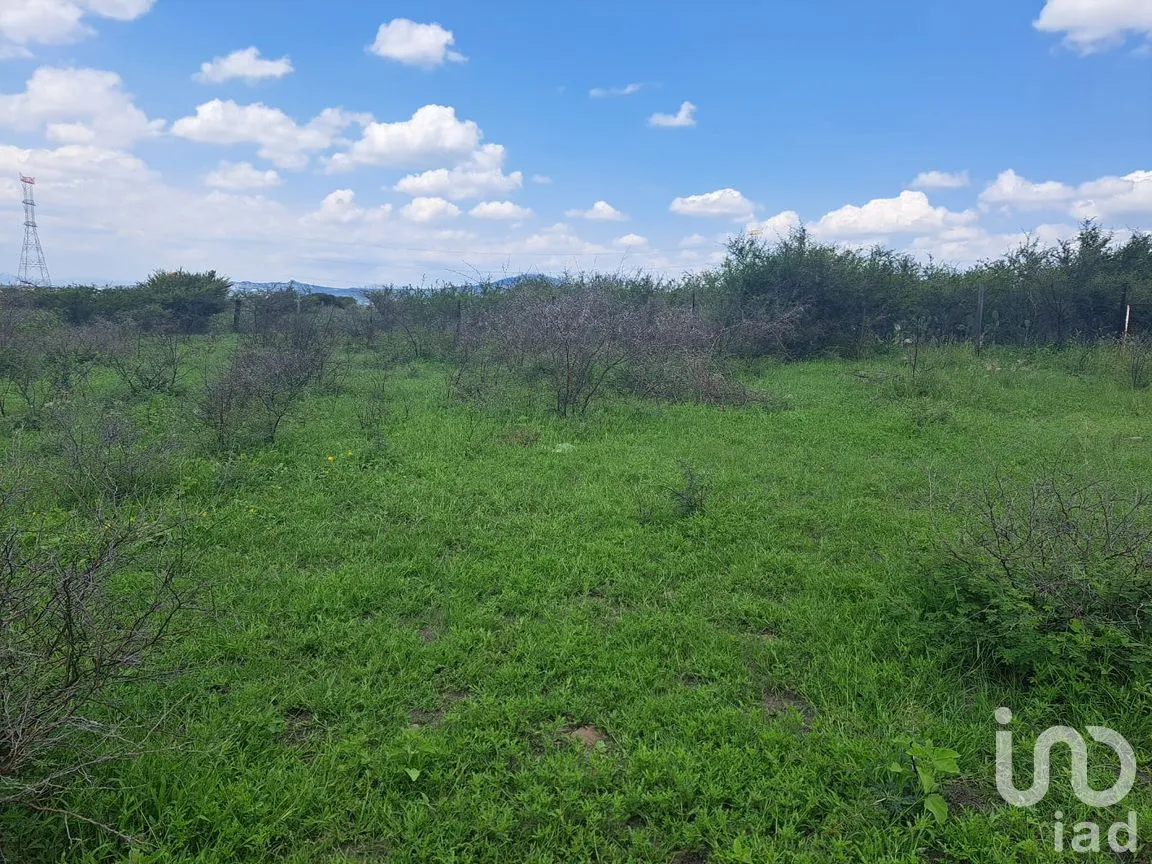 Terreno en Venta en El Vegil, Huimilpan, Querétaro | NEX-219991 | iad México | Foto 4 de 7