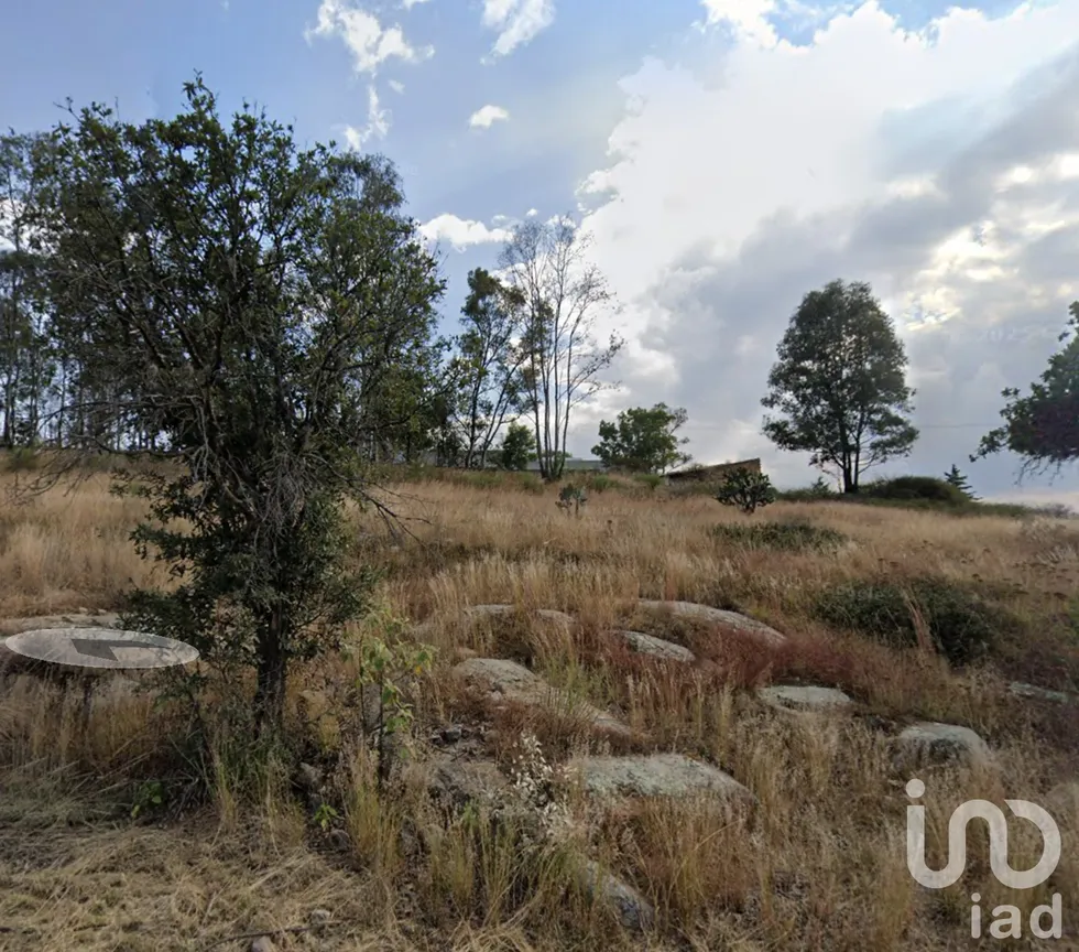 Terreno en Venta en San Pedro, Huimilpan, Querétaro | NEX-253769 | iad México | Foto 2 de 8
