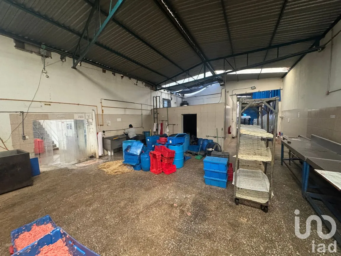 Bodega en Venta en San Pedrito Peñuelas I, Querétaro, Querétaro | NEX-291272 | iad México | Foto 21 de 26