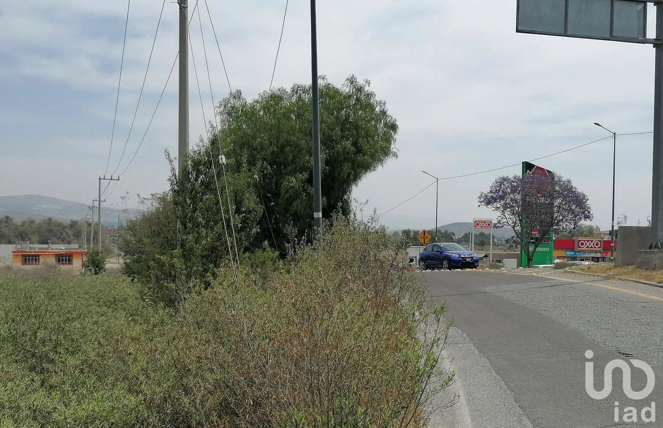 Terreno en Venta en Jamaica, Tepeaca, Puebla | NEX-198616 | iad México | Foto 2 de 10